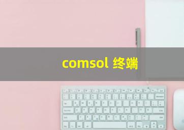 comsol 终端